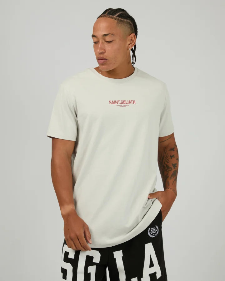 RENOWN TEE MINT GREY