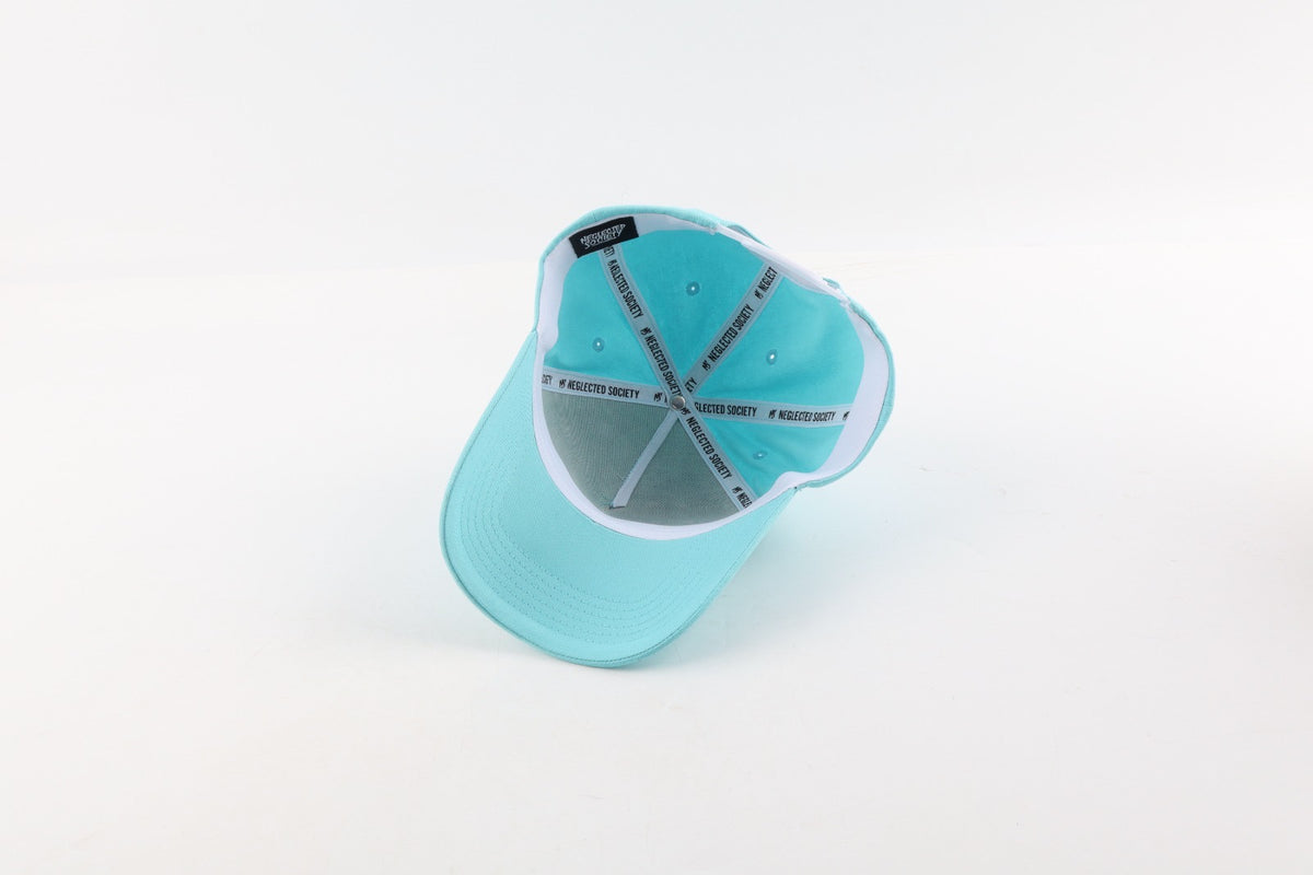 NS Aframe Teal White Snapback