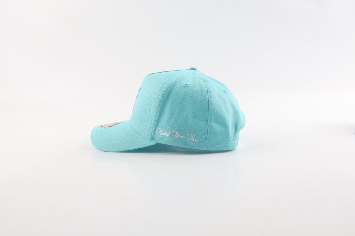 NS Aframe Teal White Snapback