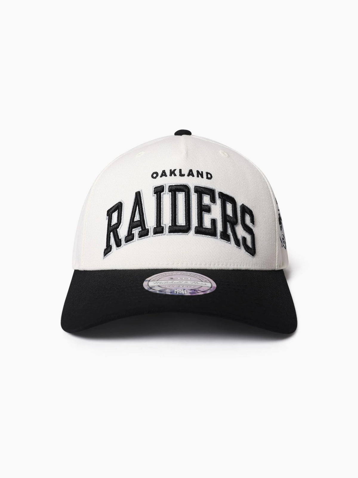 Oakland Raiders Team Arch Flex110 Snapback - Cream/Black