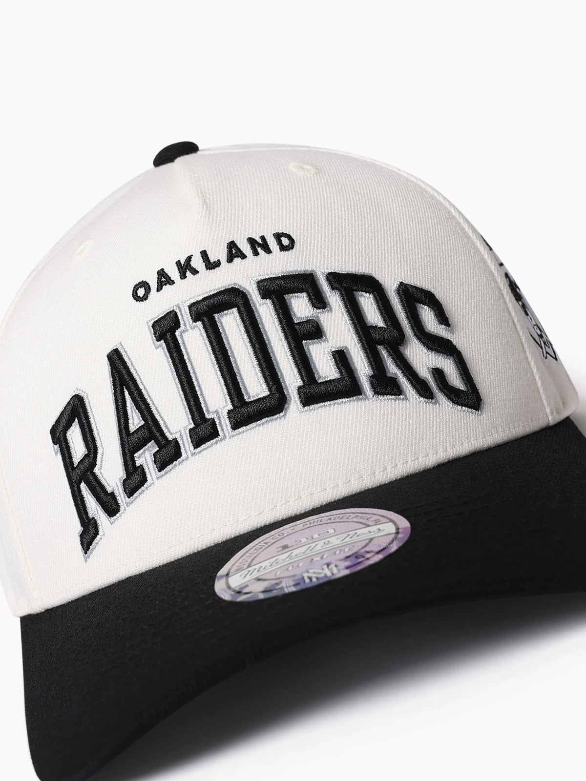 Oakland Raiders Team Arch Flex110 Snapback - Cream/Black